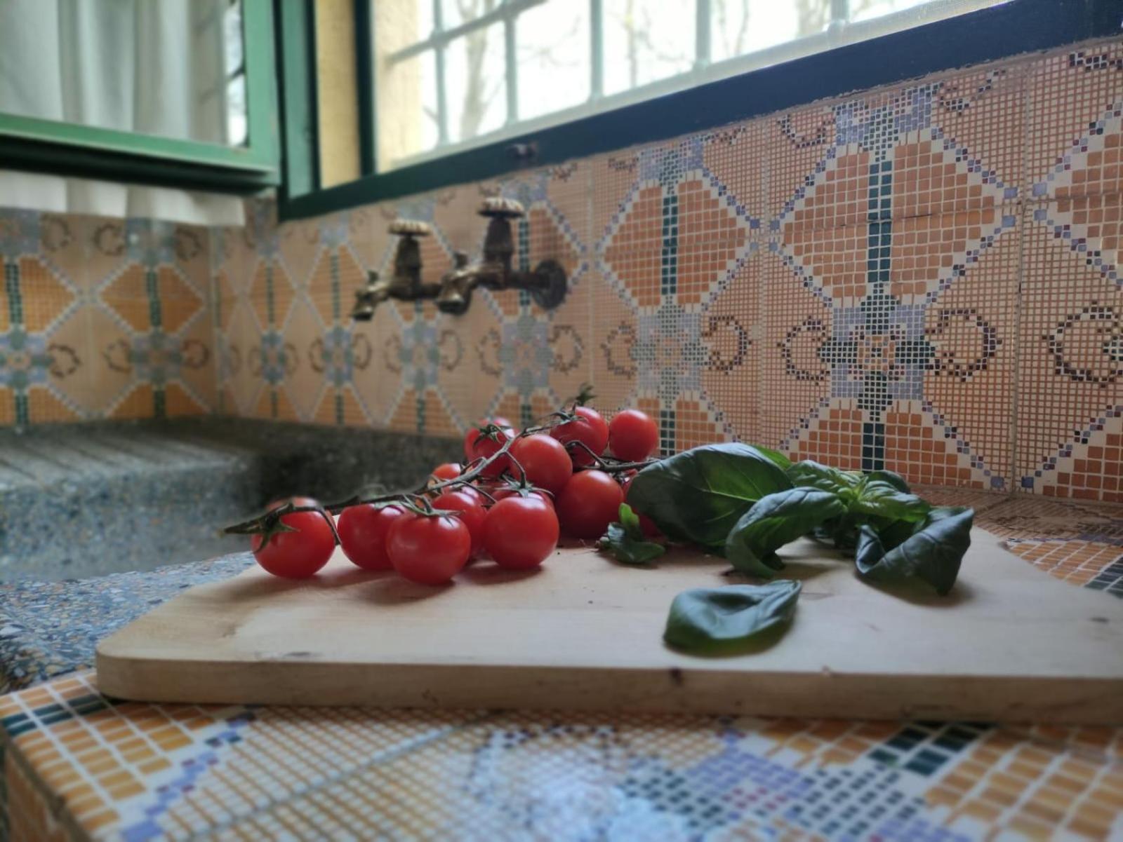 Casa Grazia Villa Gambassi Terme Kültér fotó
